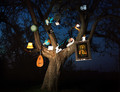 Der Marillenbaum (The Apricot Tree)